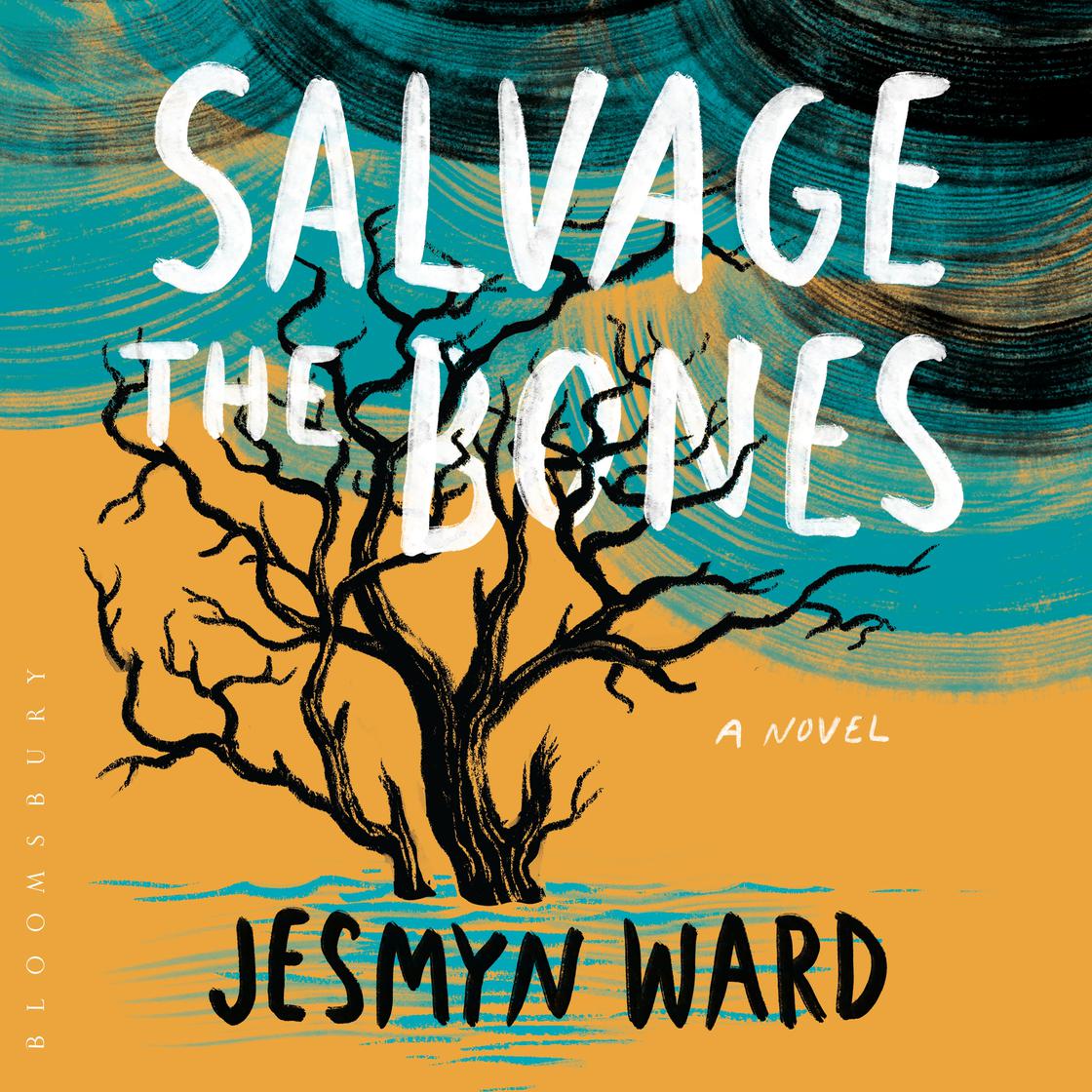 Square audiobook cover of Salvage the Bones by Jesmyn Ward